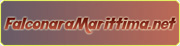 Falconara Marittima